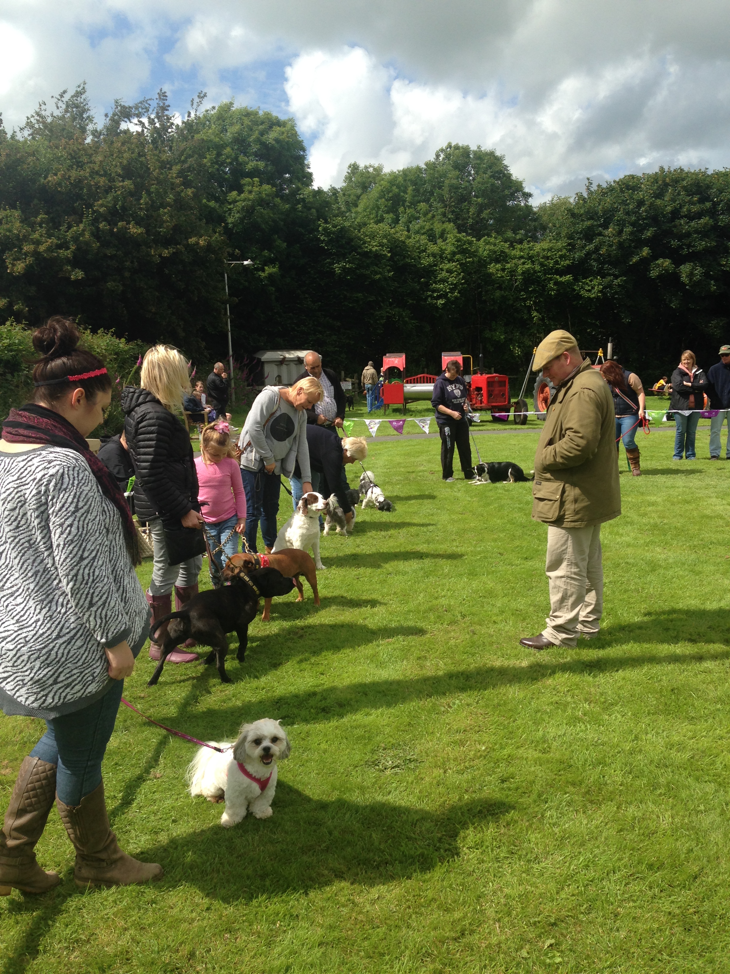 20160702_143318869_iOS